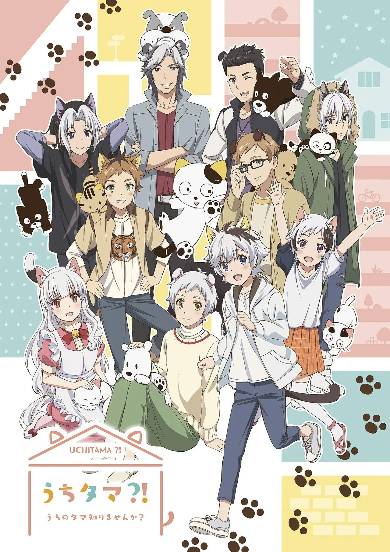 UCHITAMA?!～猫狗宠物街～